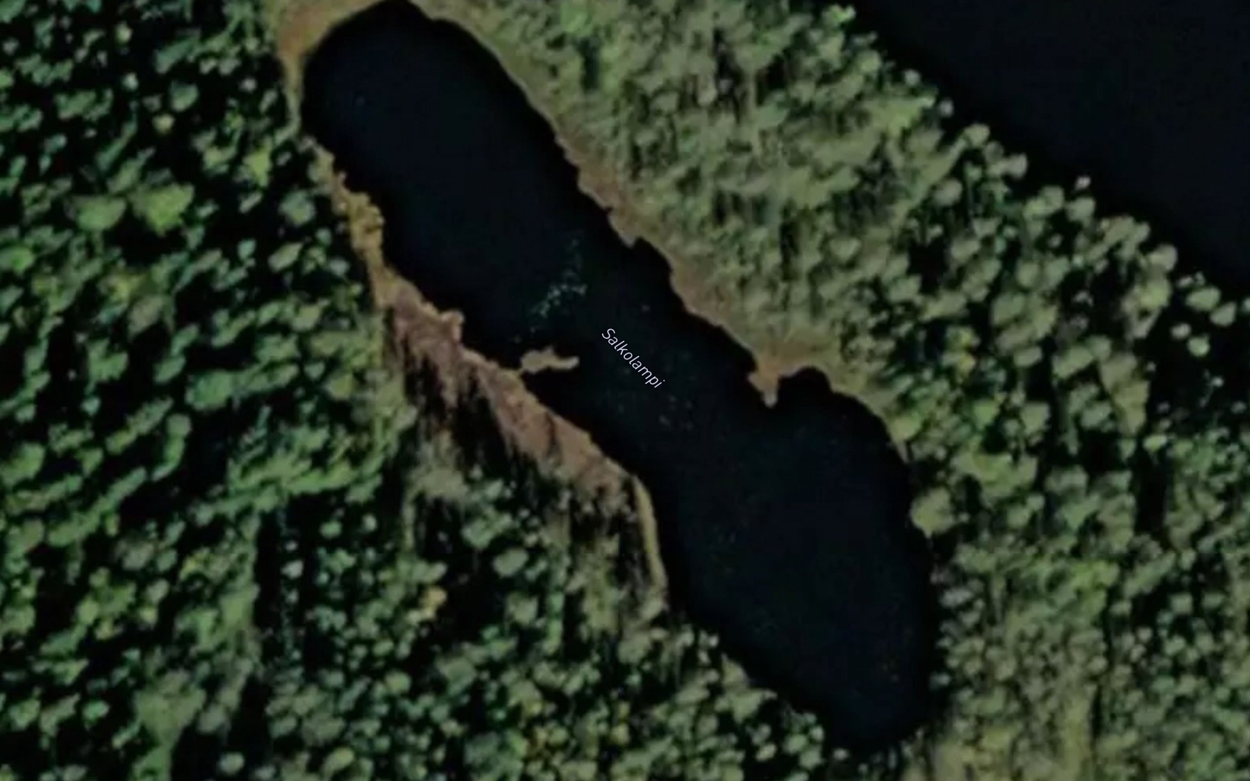 Satellite map of the Salkolampi