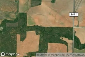 Skinout Creek
