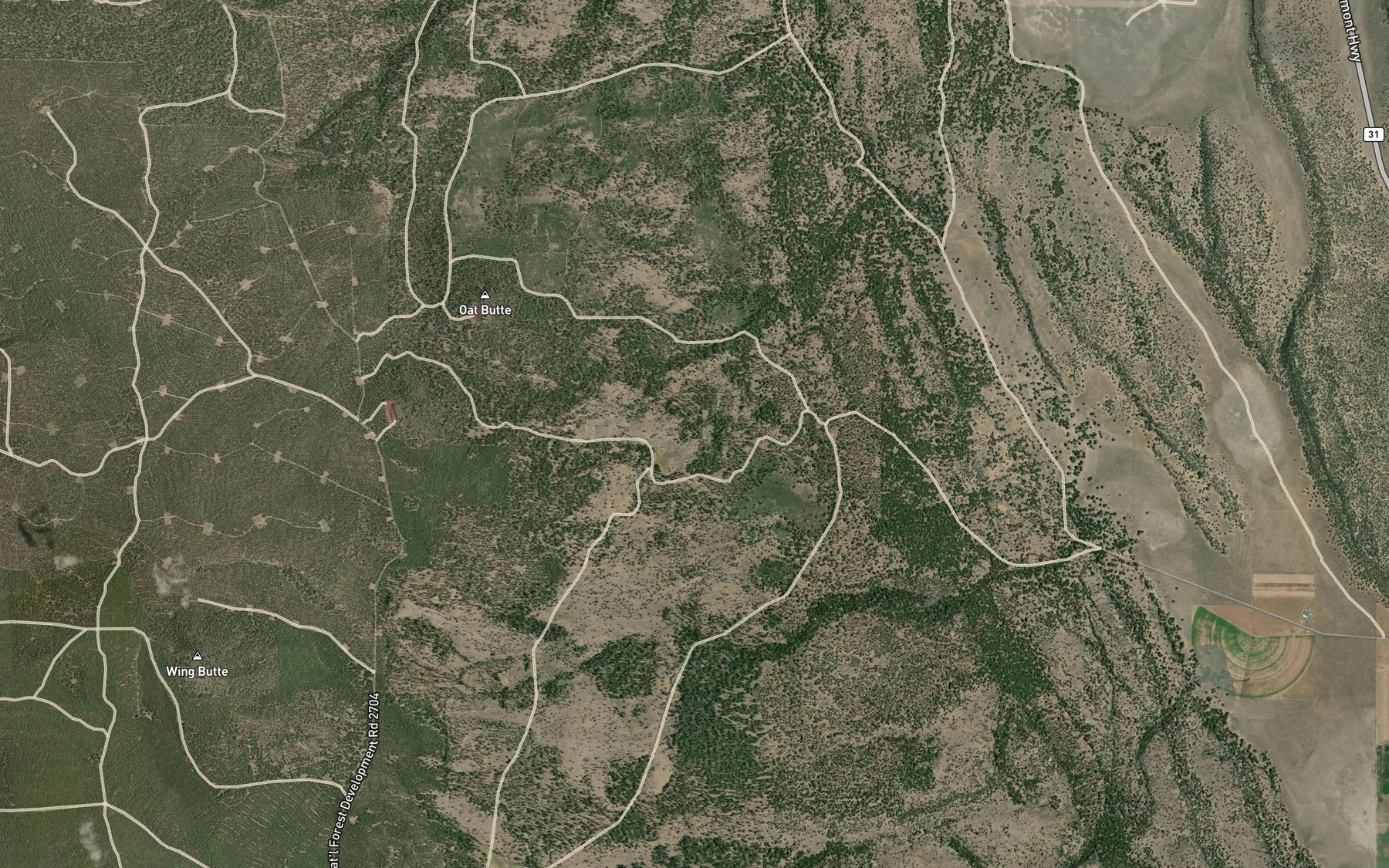 Satellite map of the Ross Spring