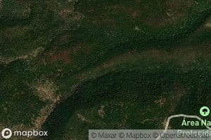 Canada Paso del Oyamel