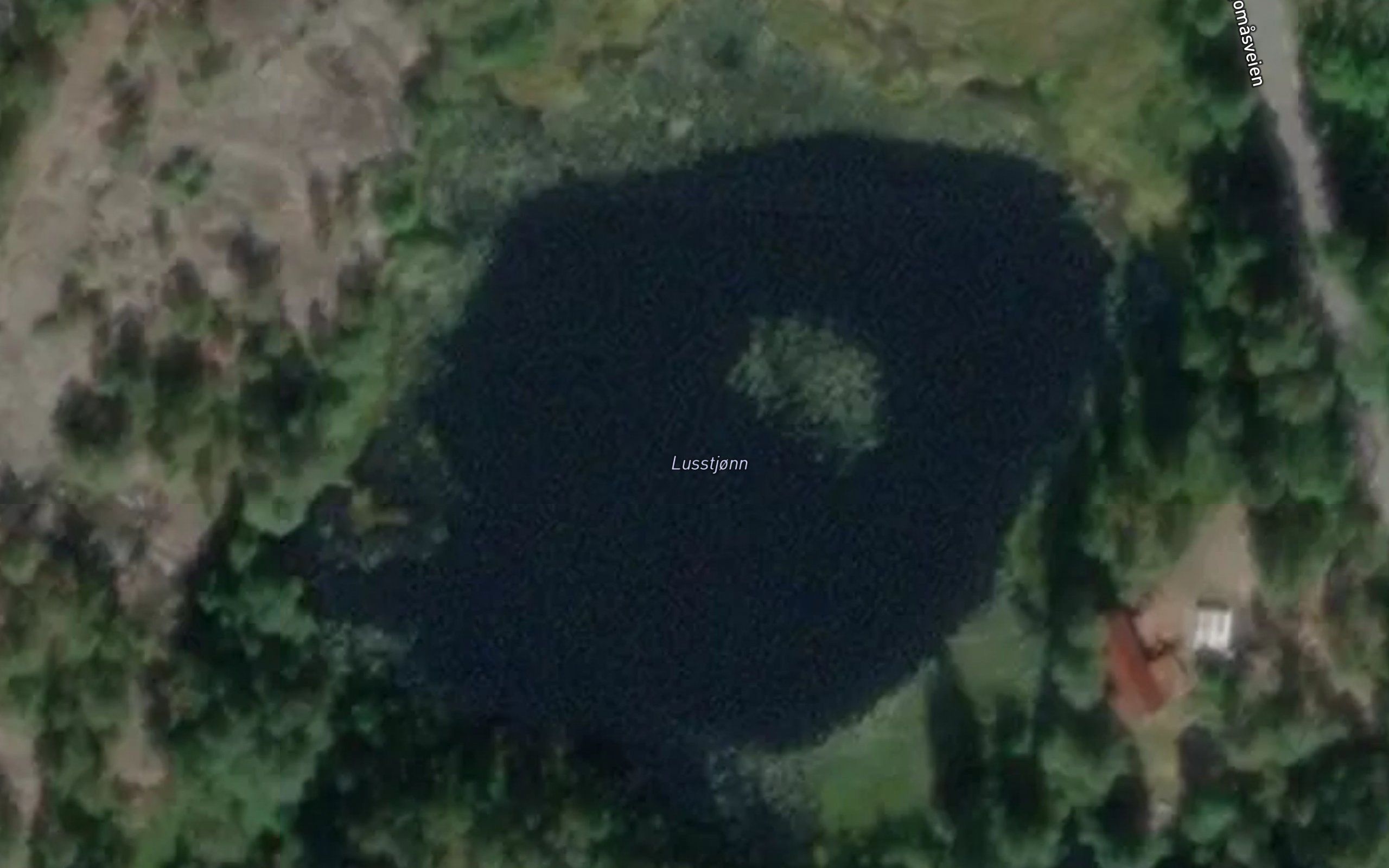 Lusstjonn