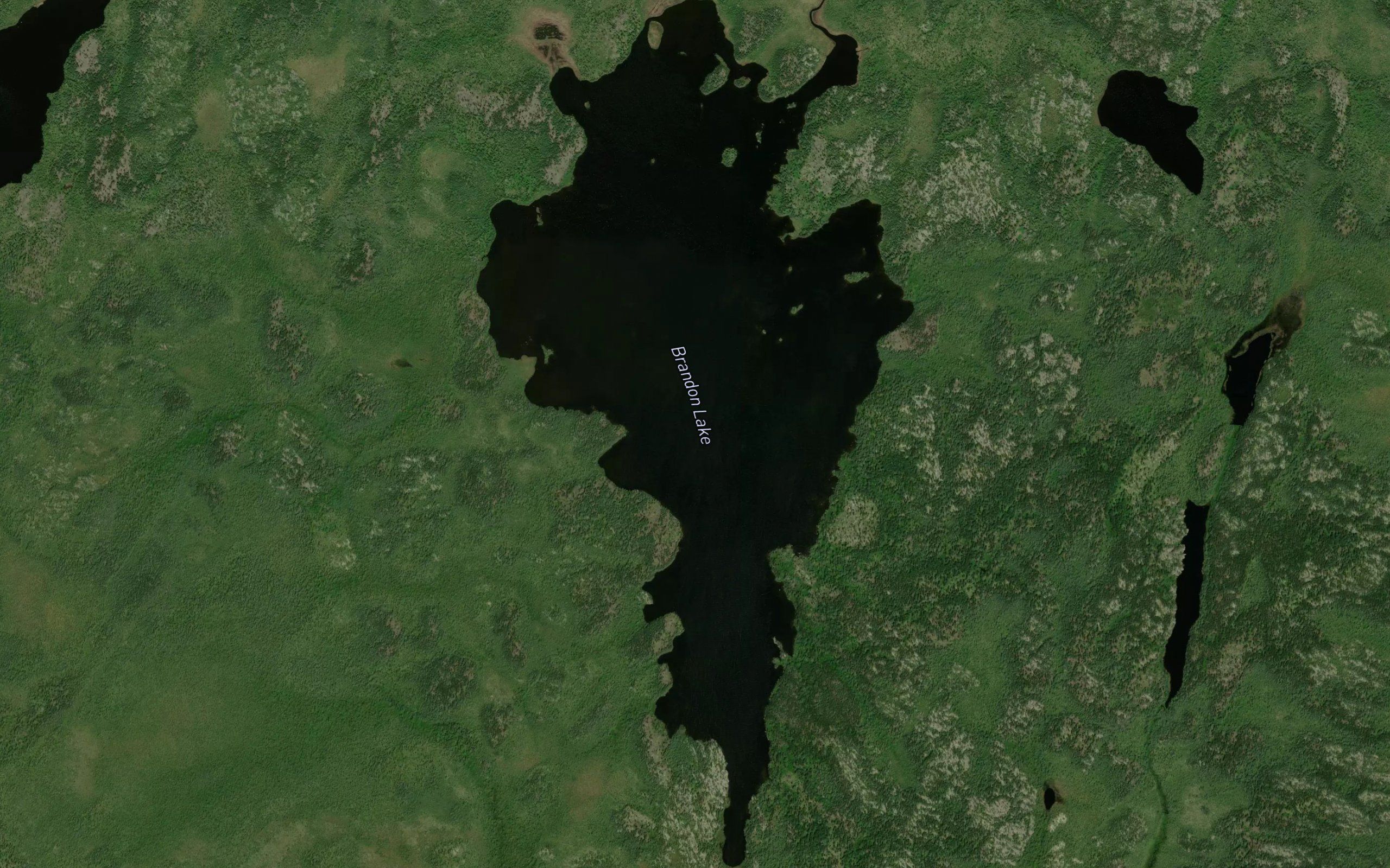 Brandon Lake
