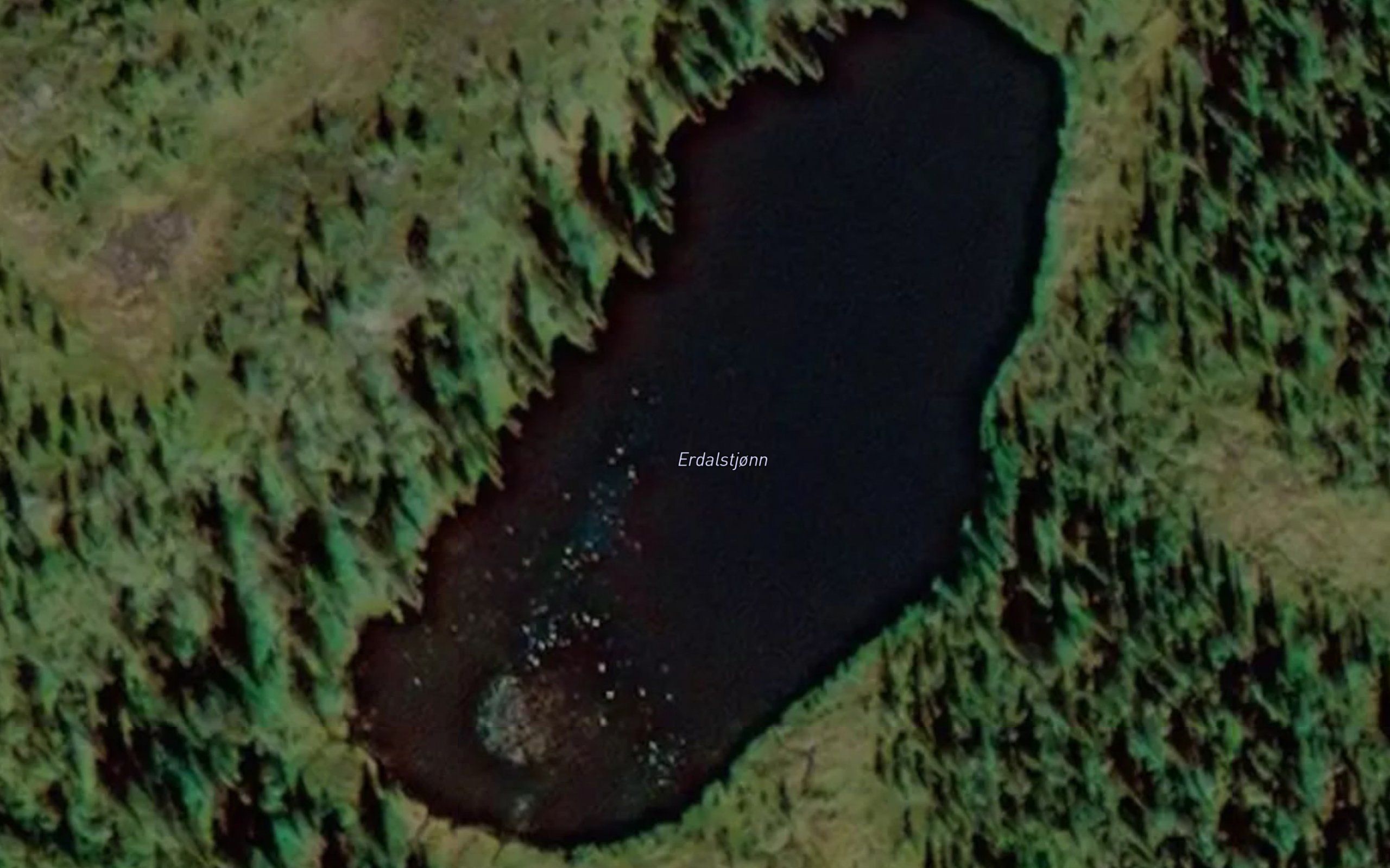 Erdalstjonn
