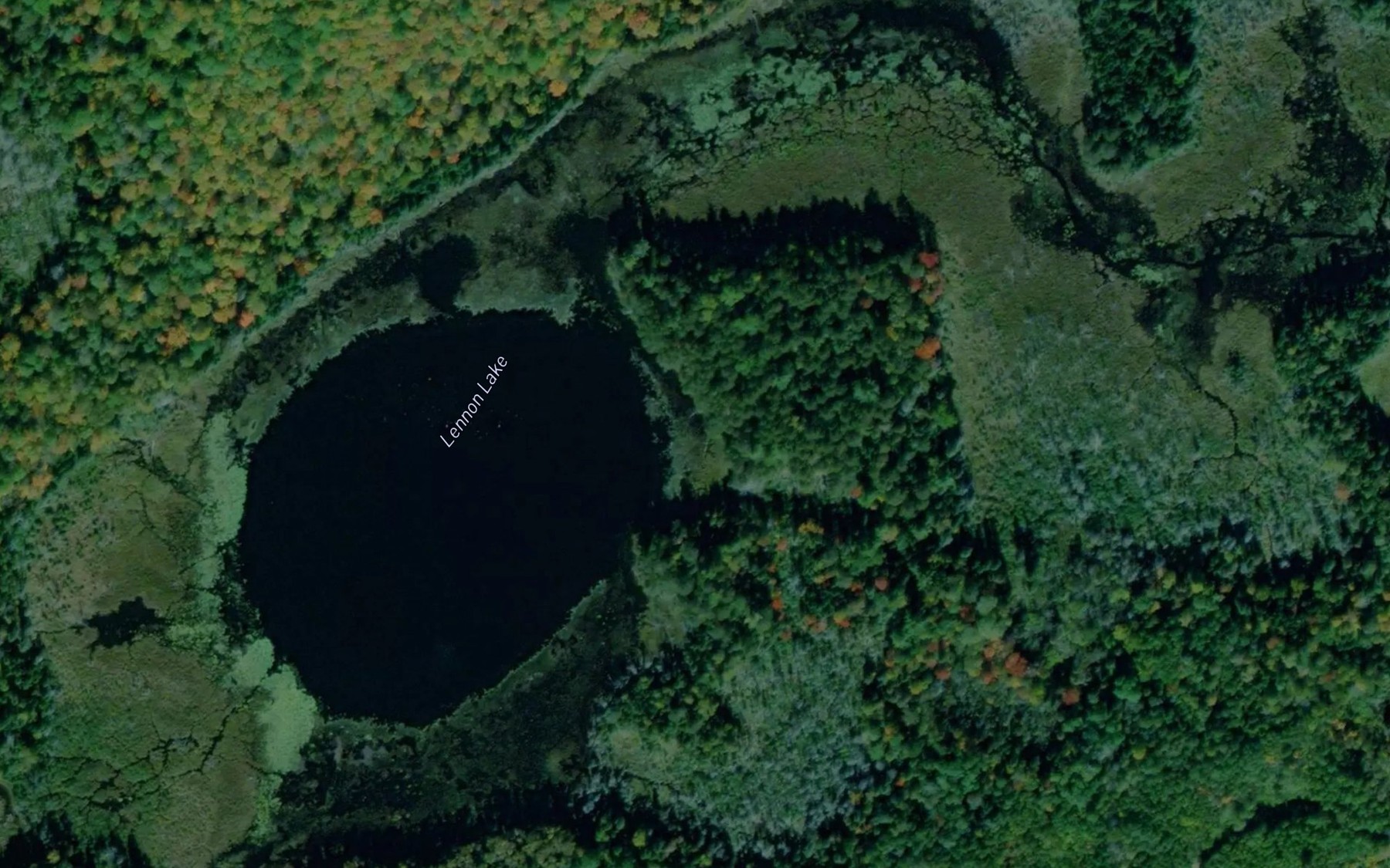 Satellite map of the Lennon Lake