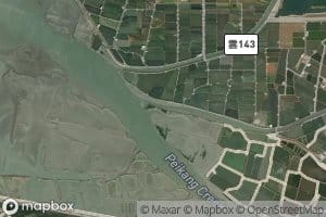Niaosong Dapai