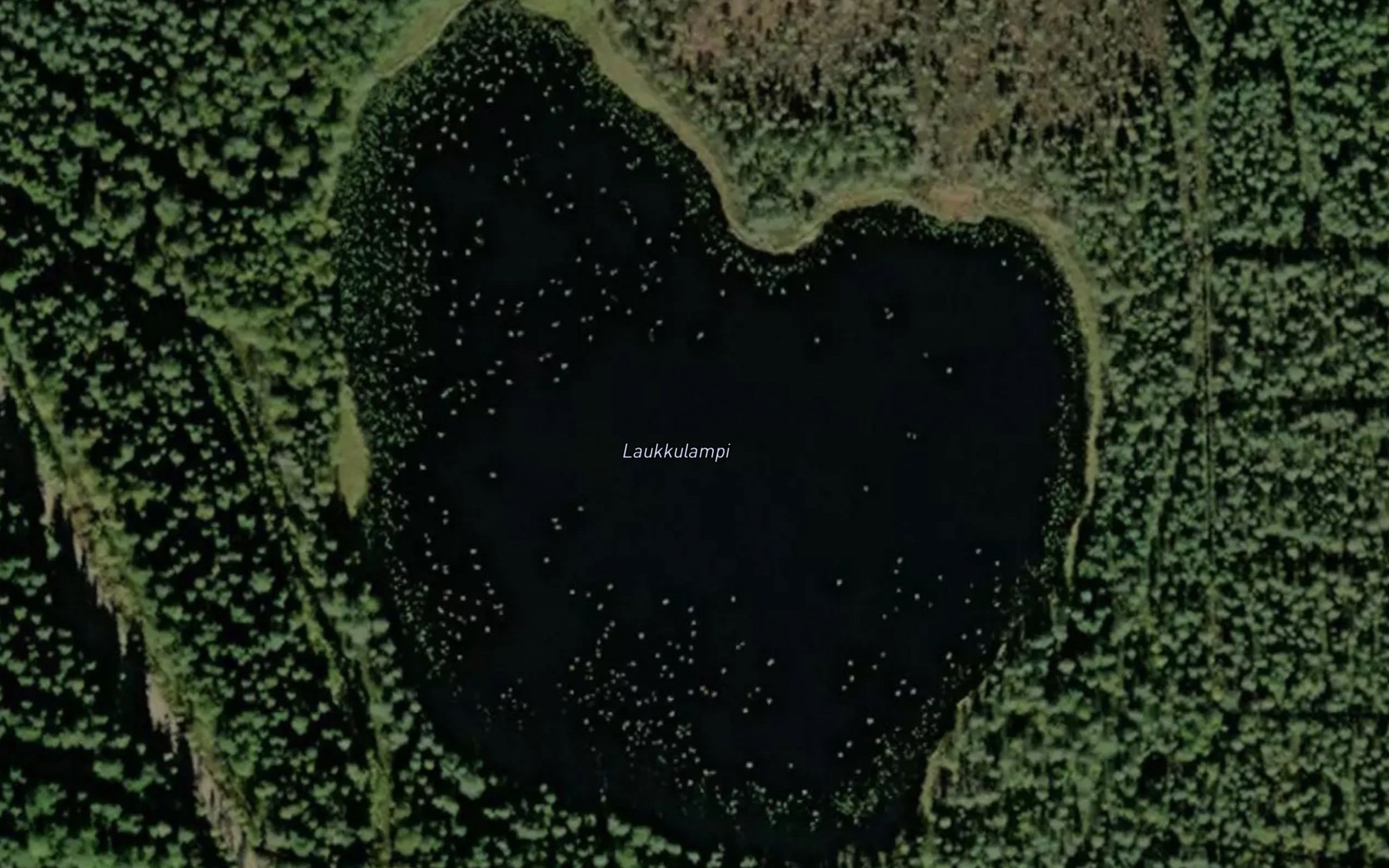 Satellite map of the Laukkulampi