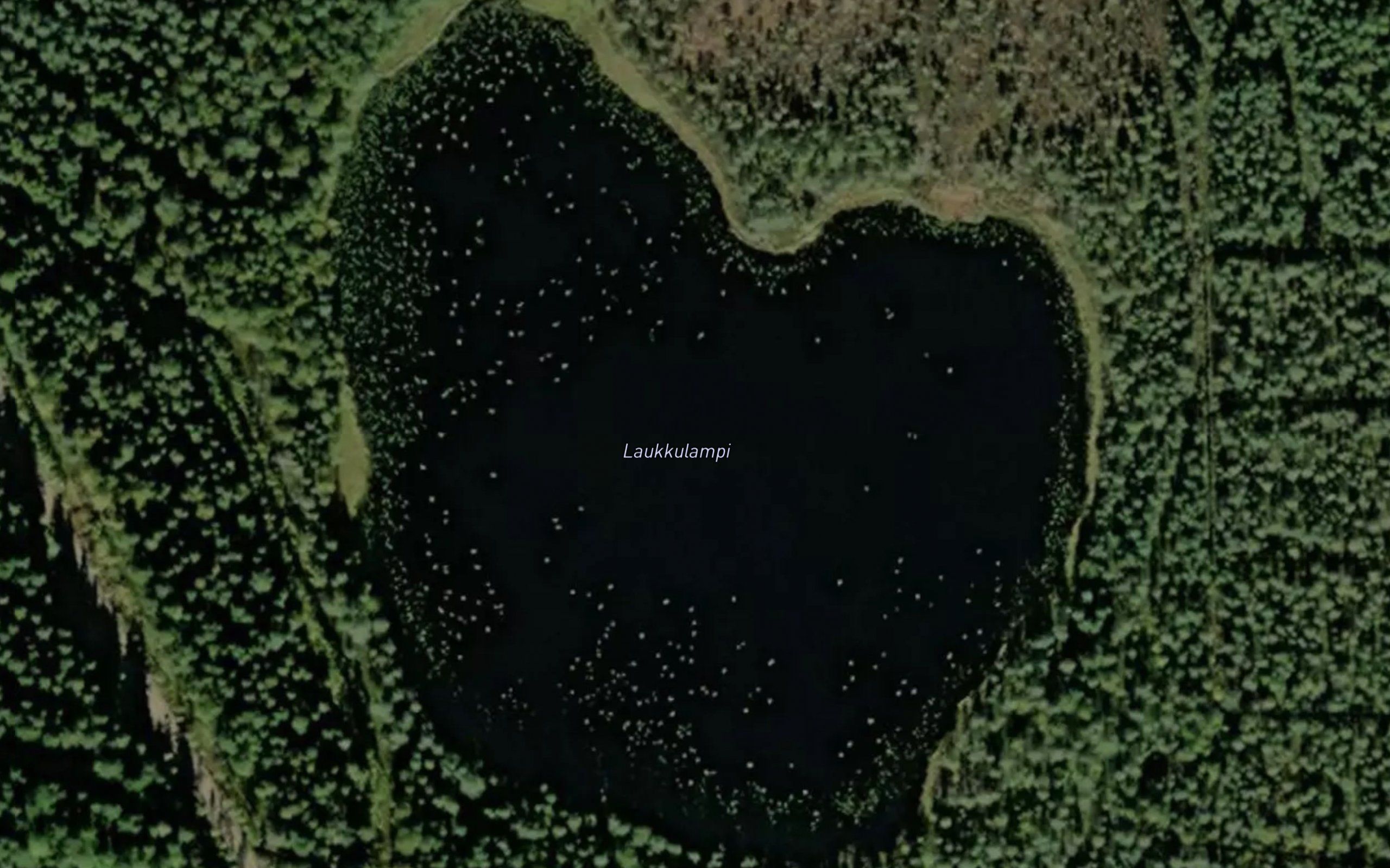 Laukkulampi