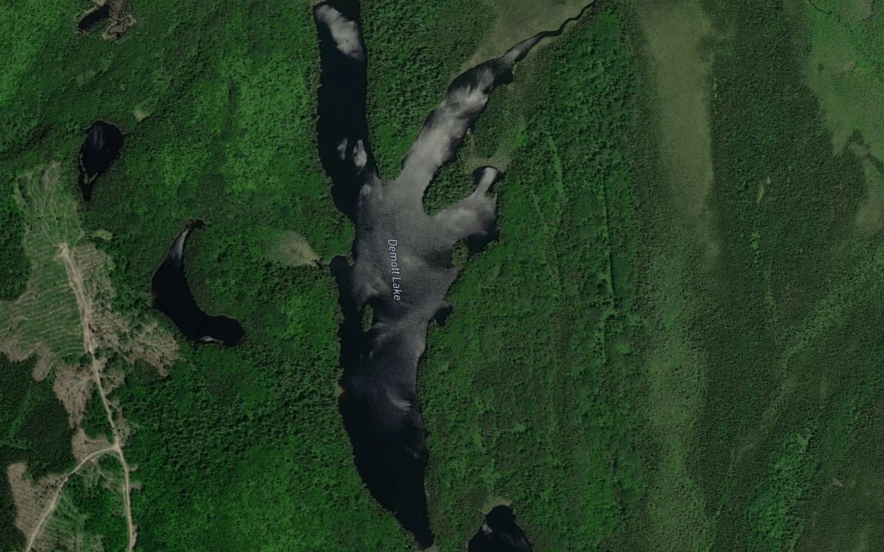 Satellite map of the Demott Lake