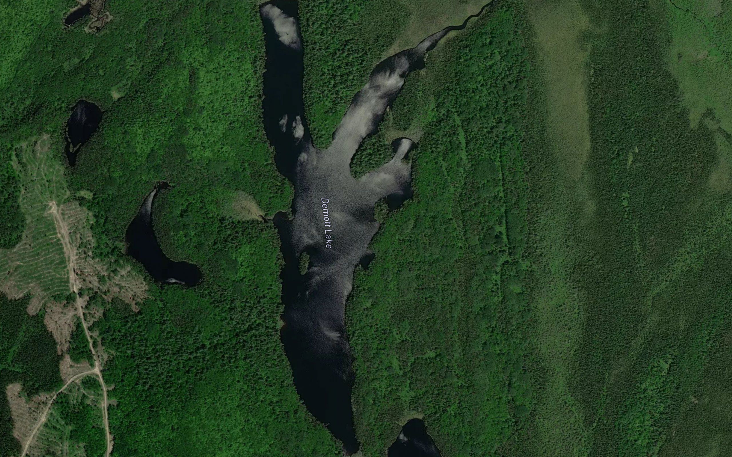 Demott Lake