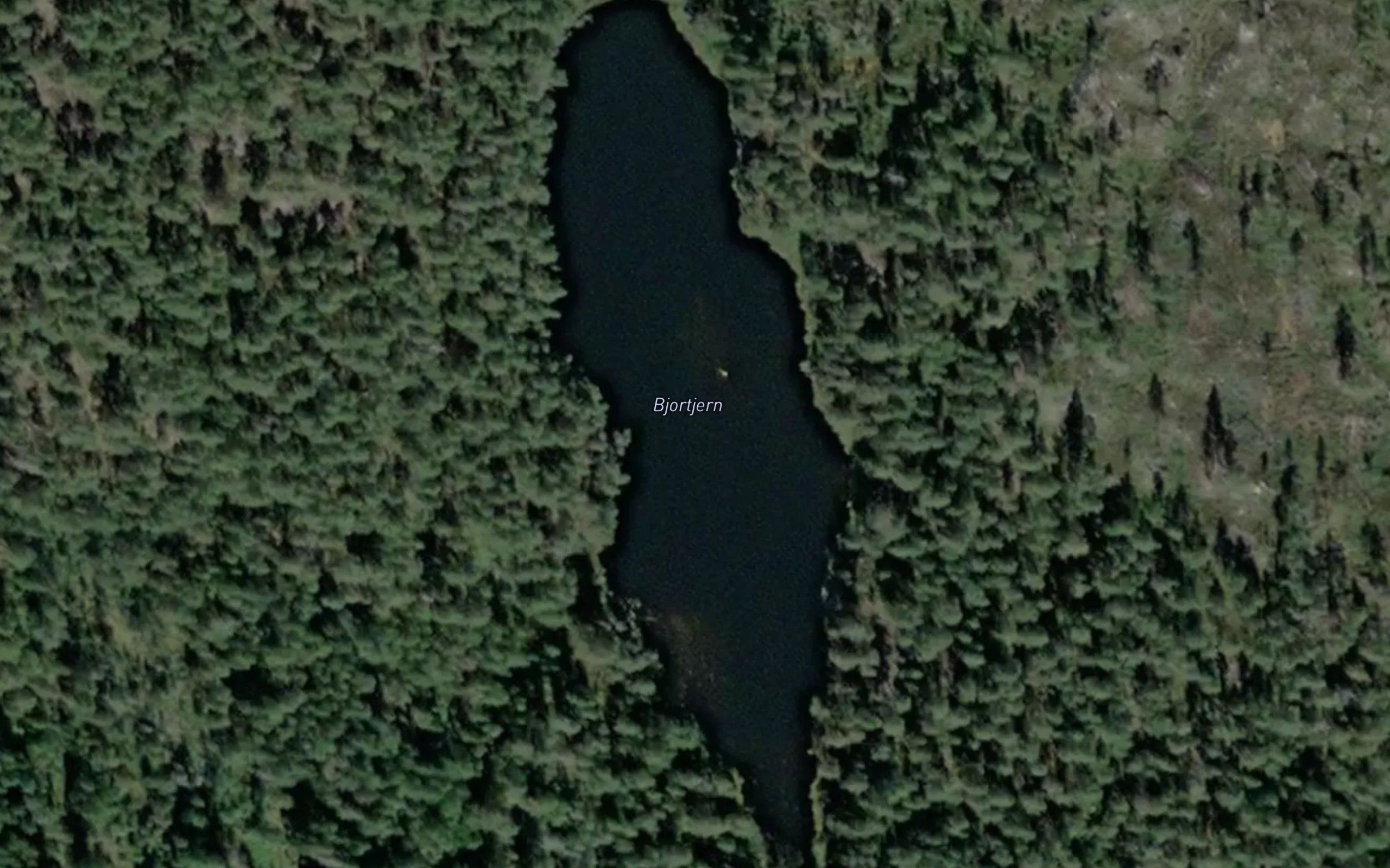 Bjortjern
