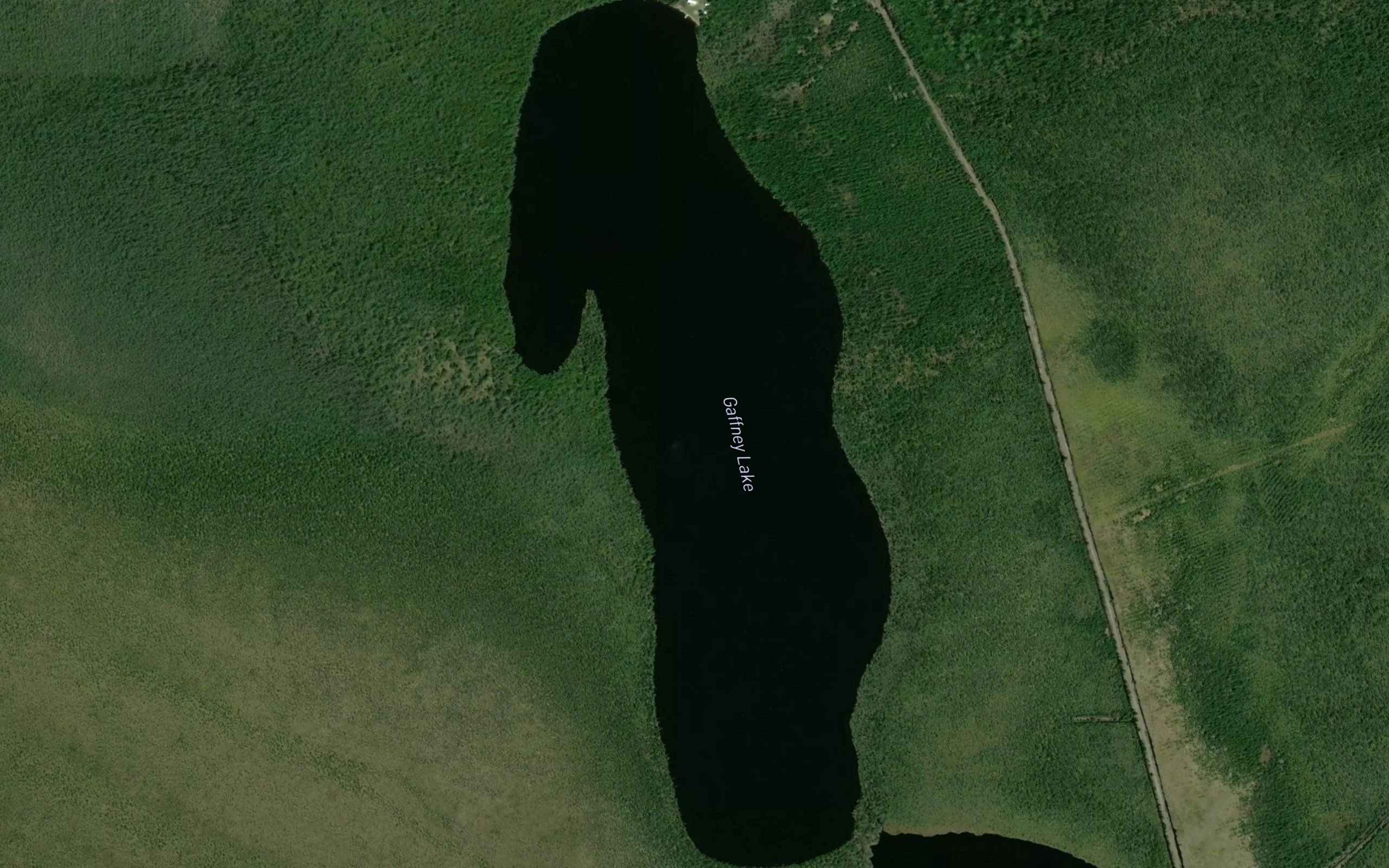 Gaffney Lake