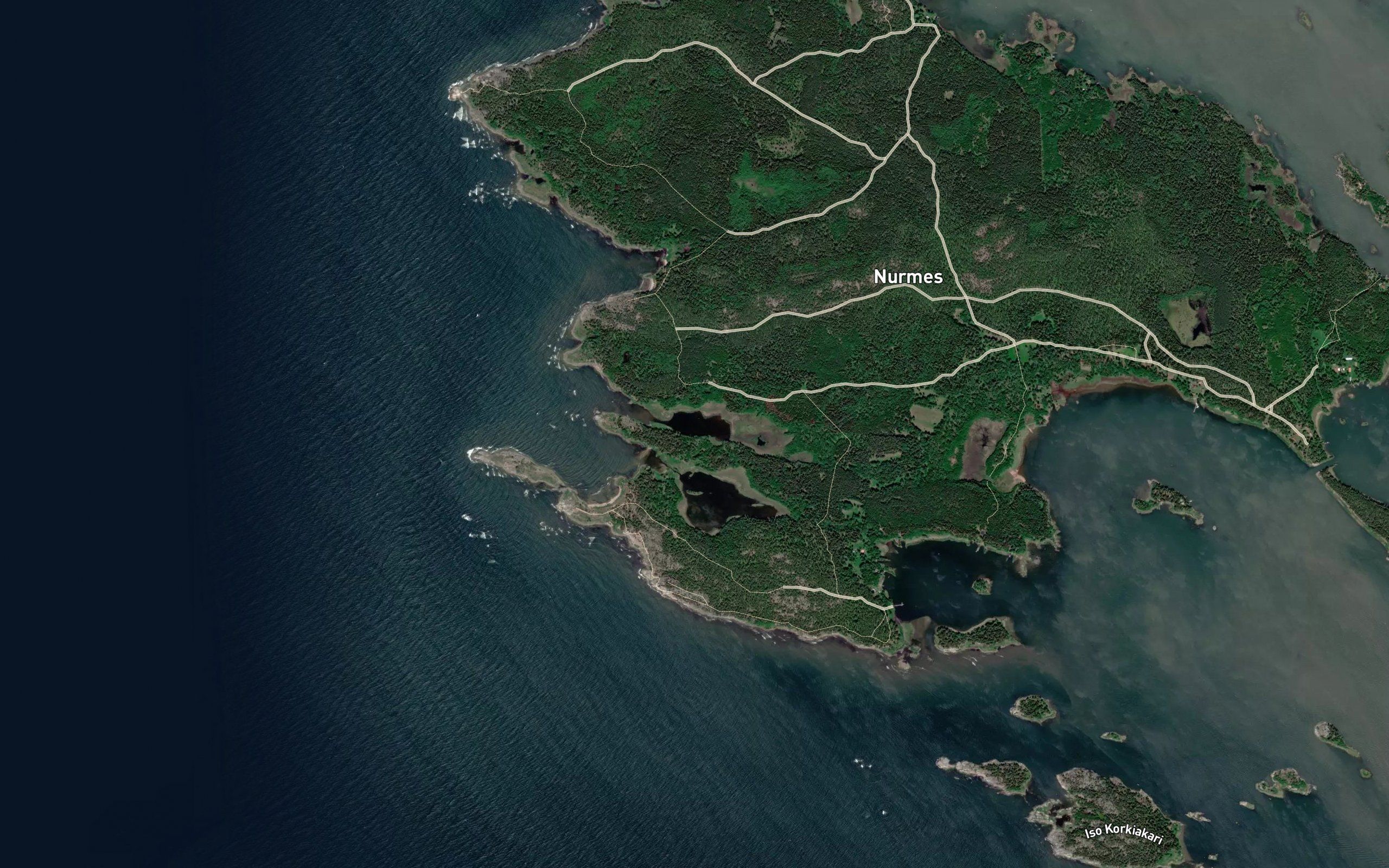 Lintikkarinpuhti