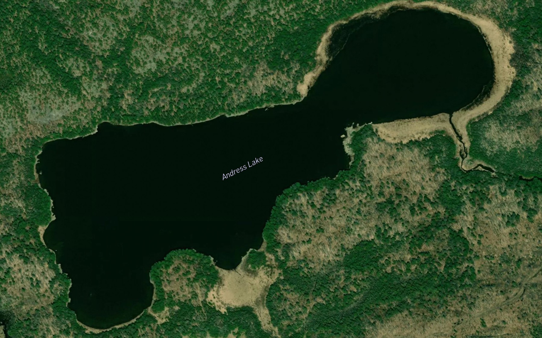 Satellite map of the Andress Lake