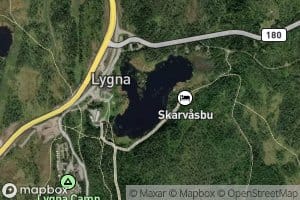 Lygna