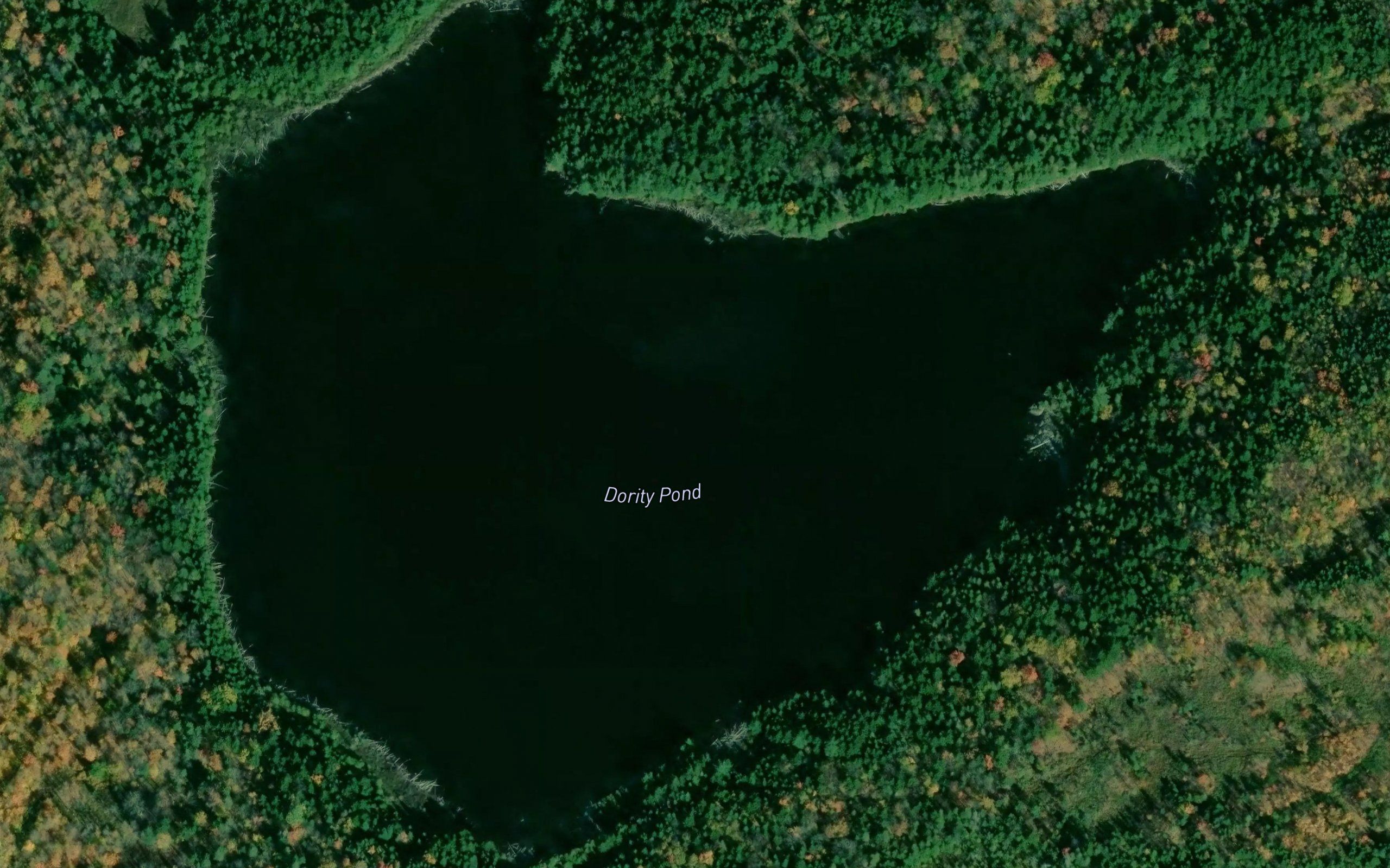 Dority Pond