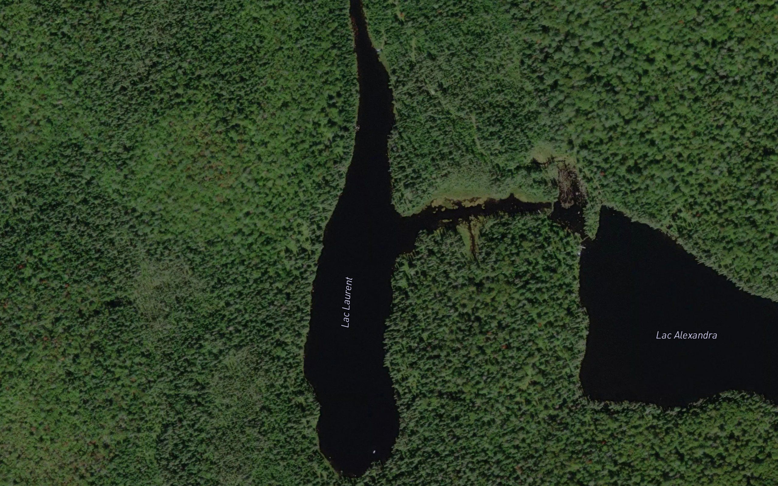 Lac Laurent