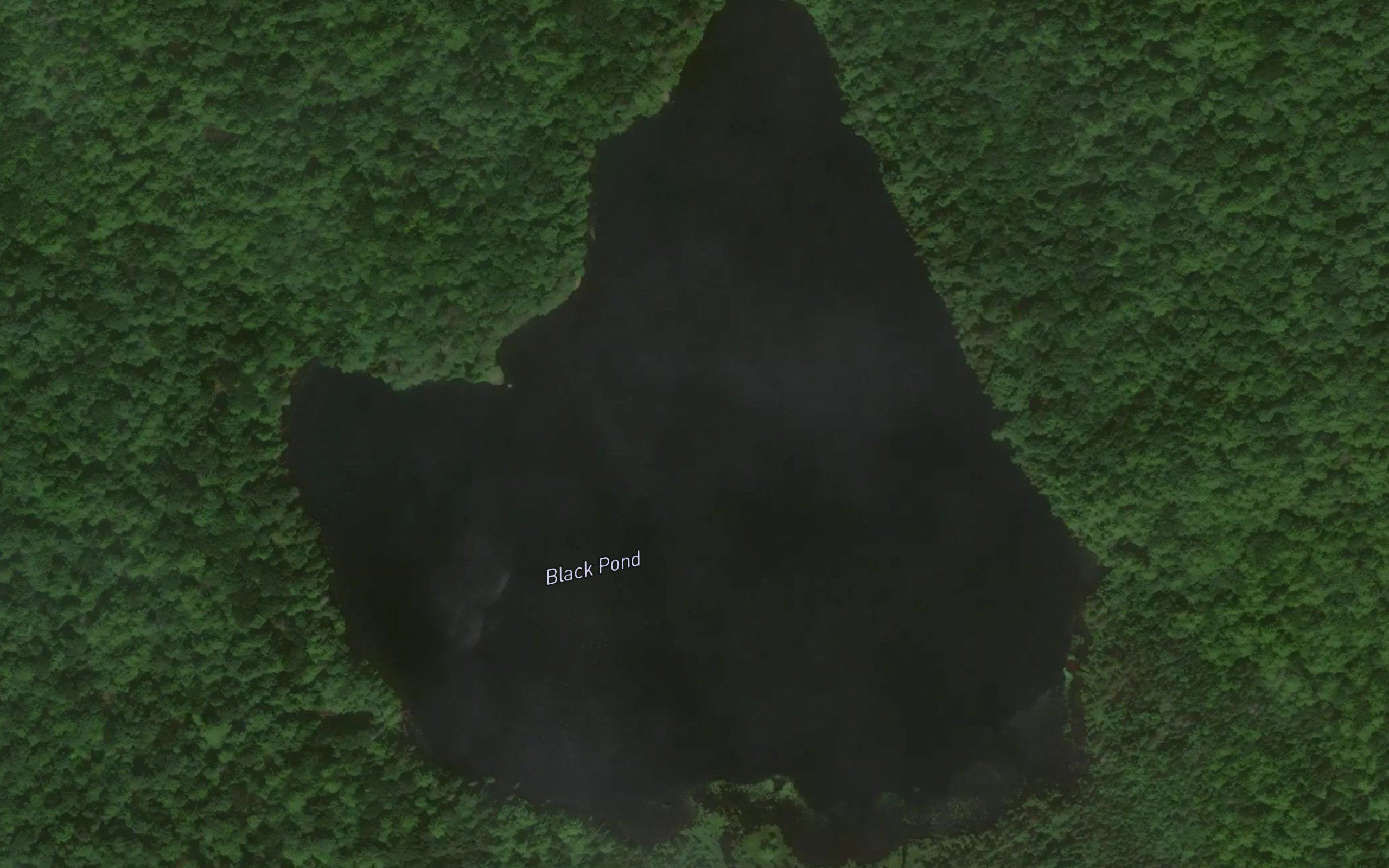 Black Pond