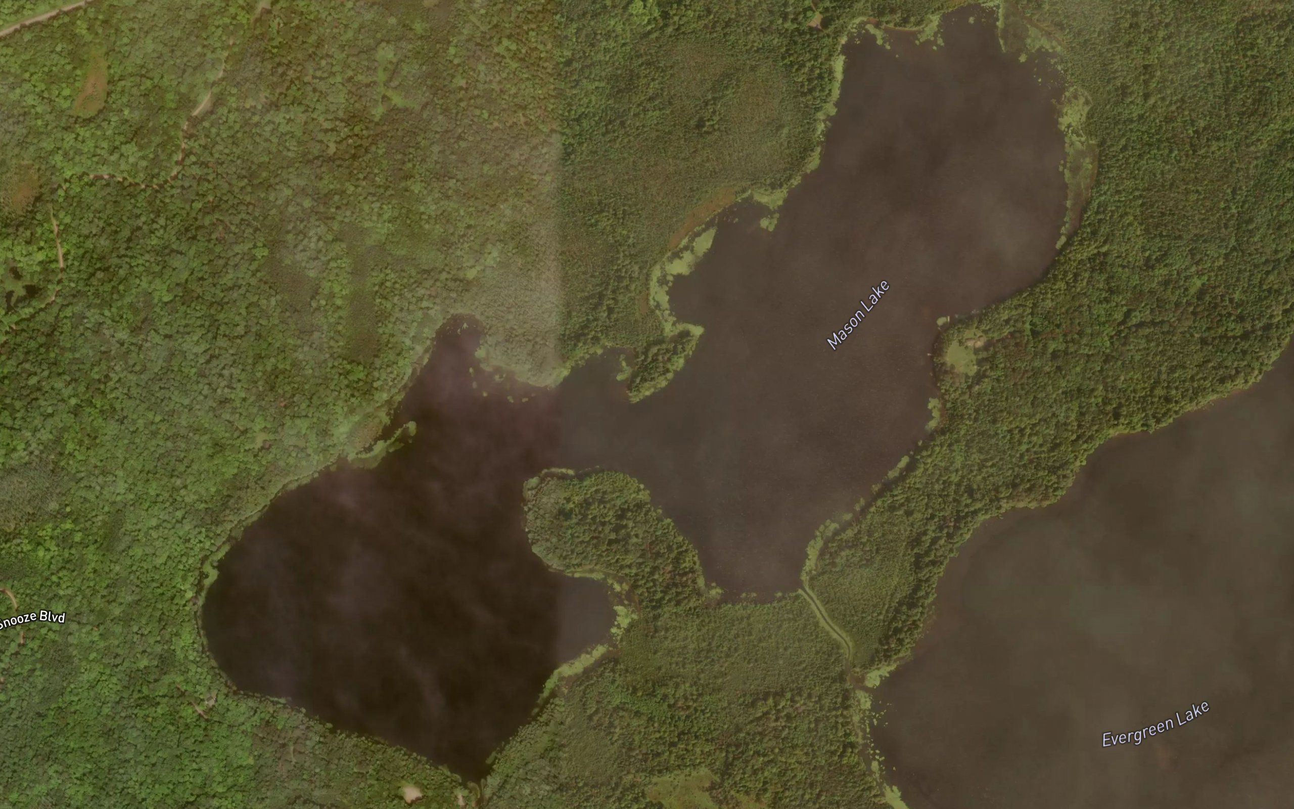 Mason Lake