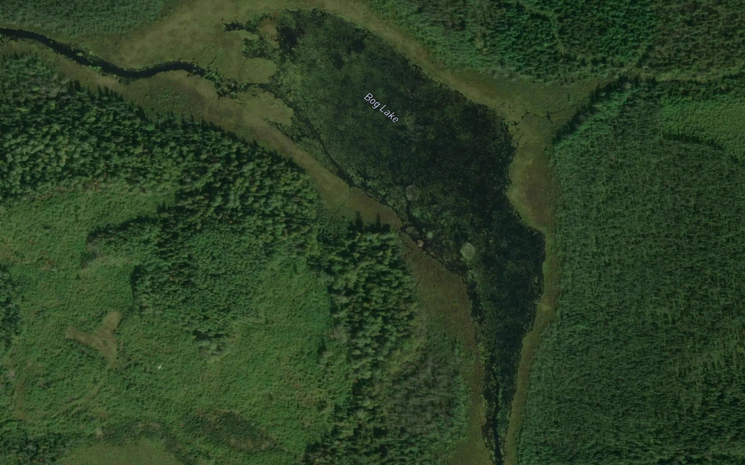 Bog Lake