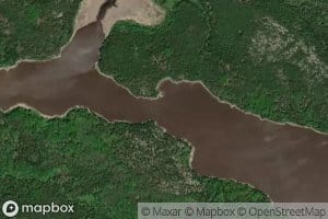 Cellist Lake
