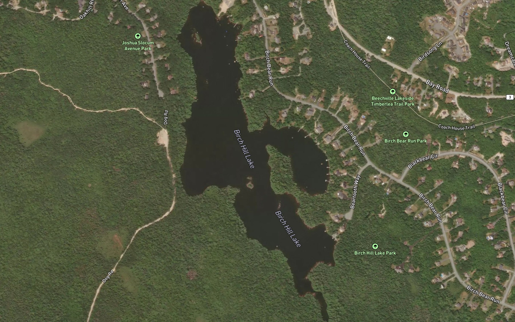 Satellite map of the Birch Hill Lake