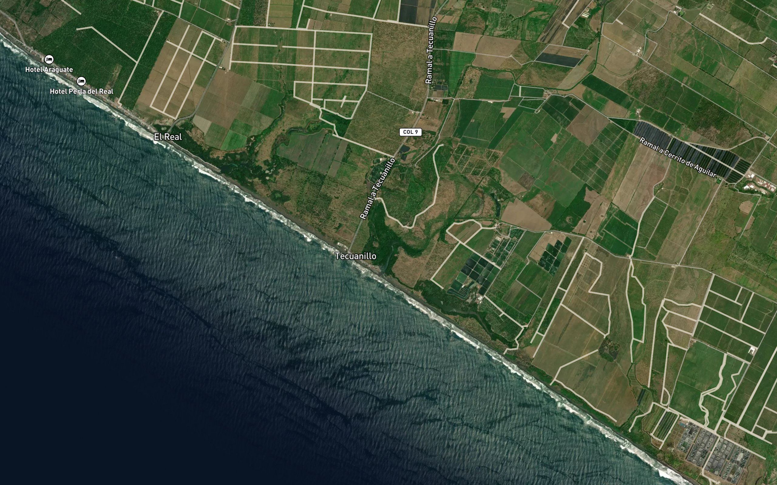 Tecuanillo