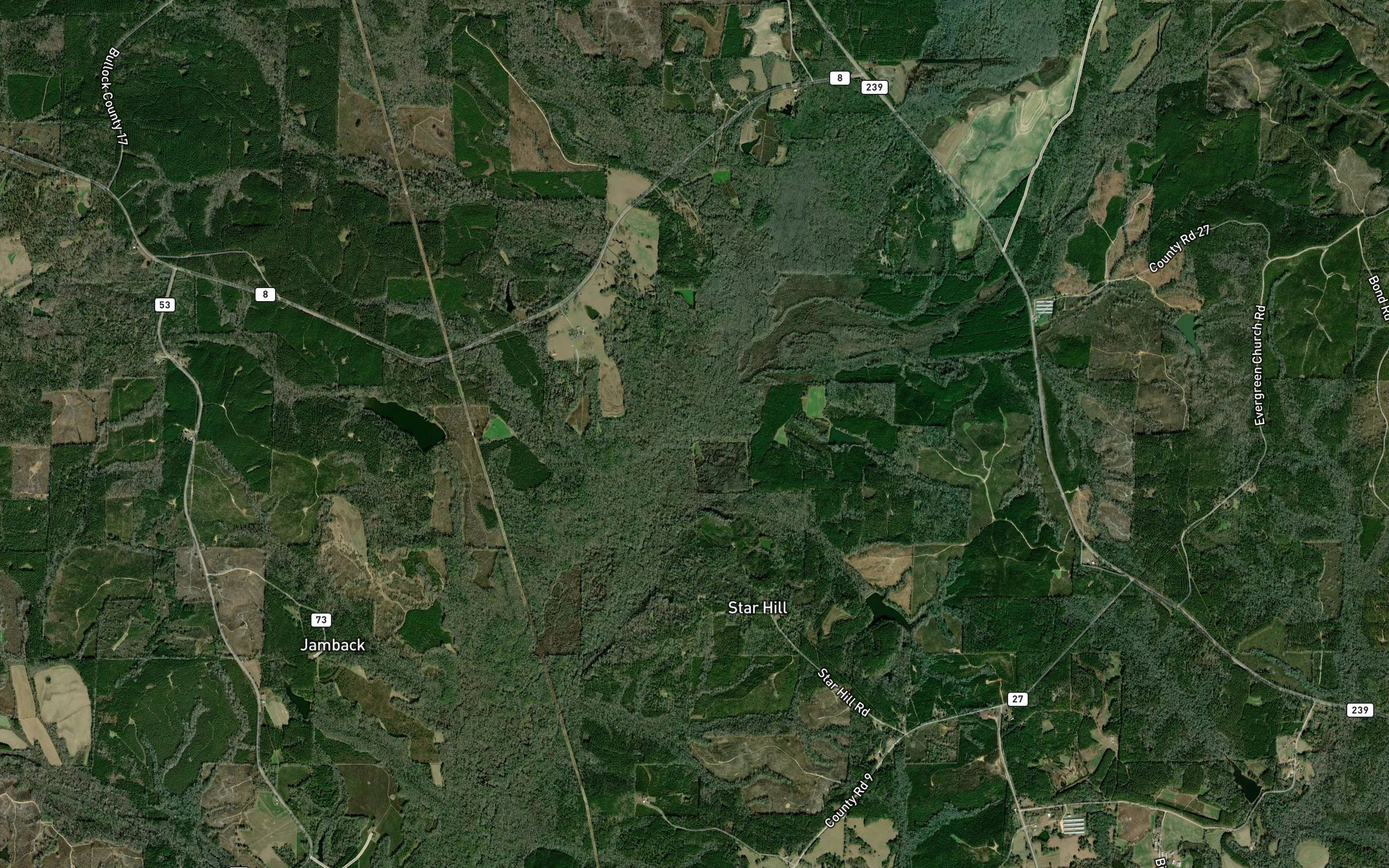 Bogue Chitta Creek