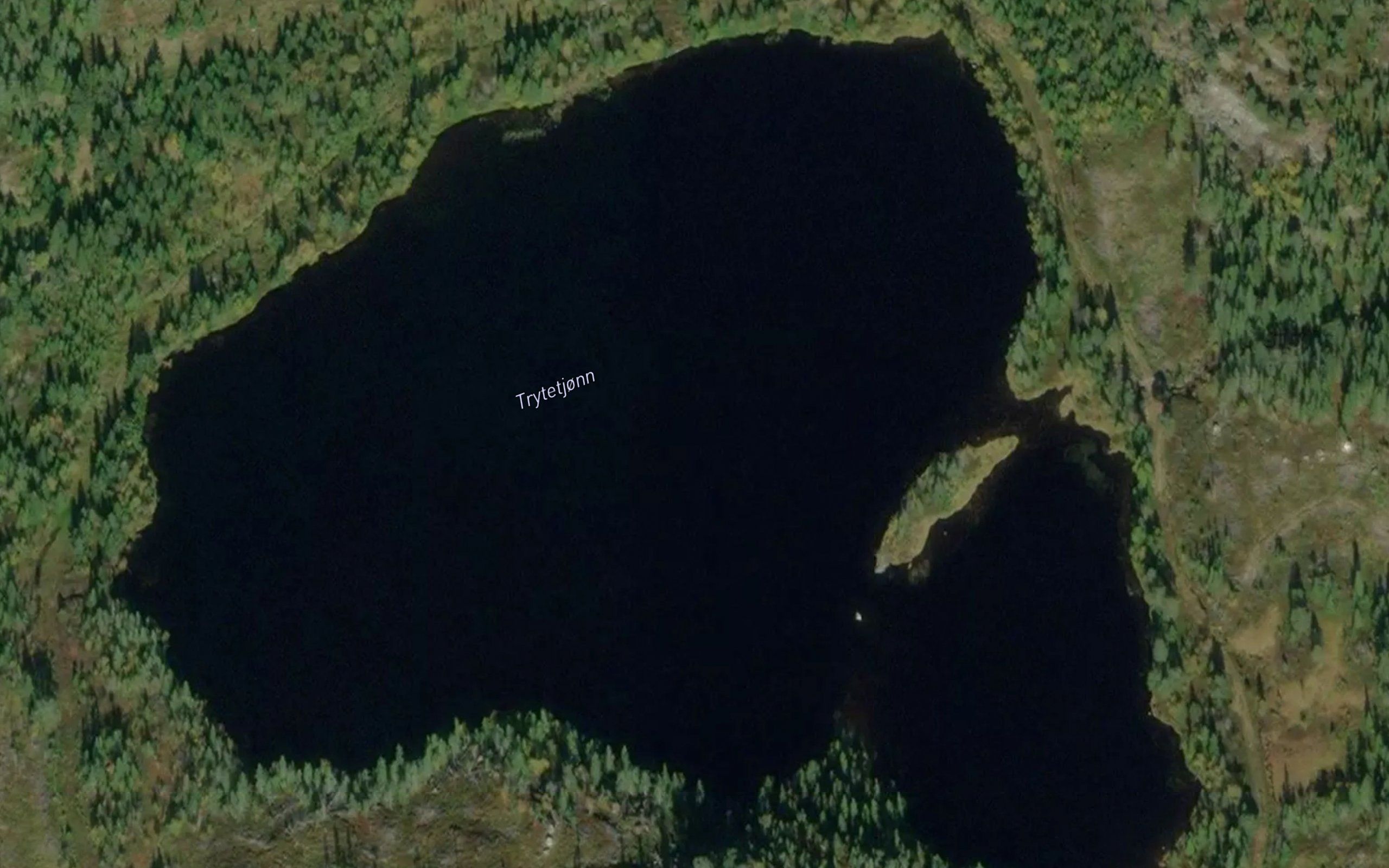 Trytetjorn