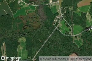 Paddys Delight Creek