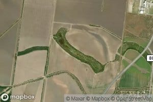 Resaca de las Flores