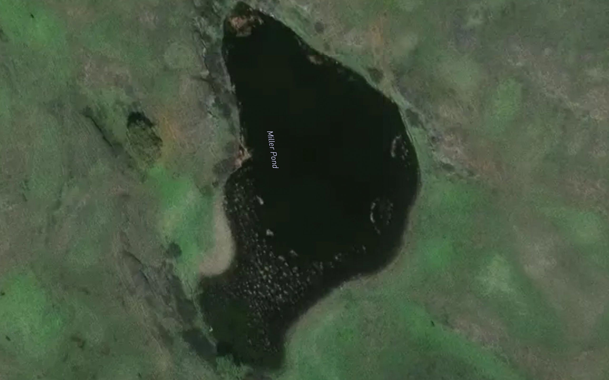Miller Pond