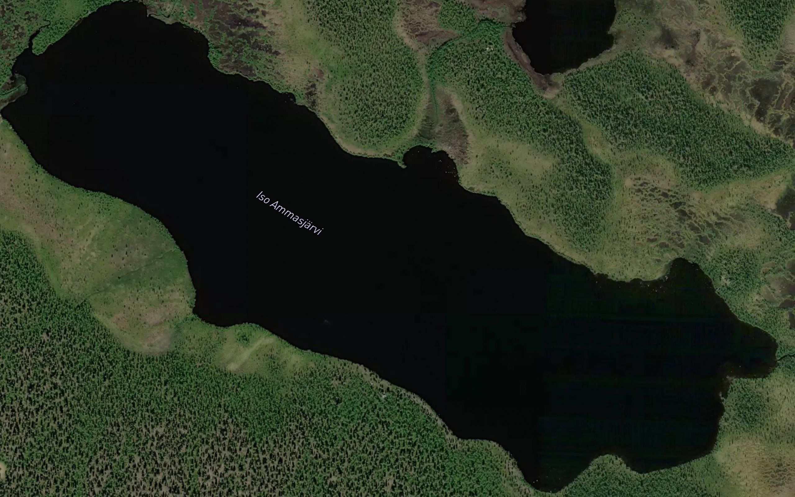Ammasjarvi