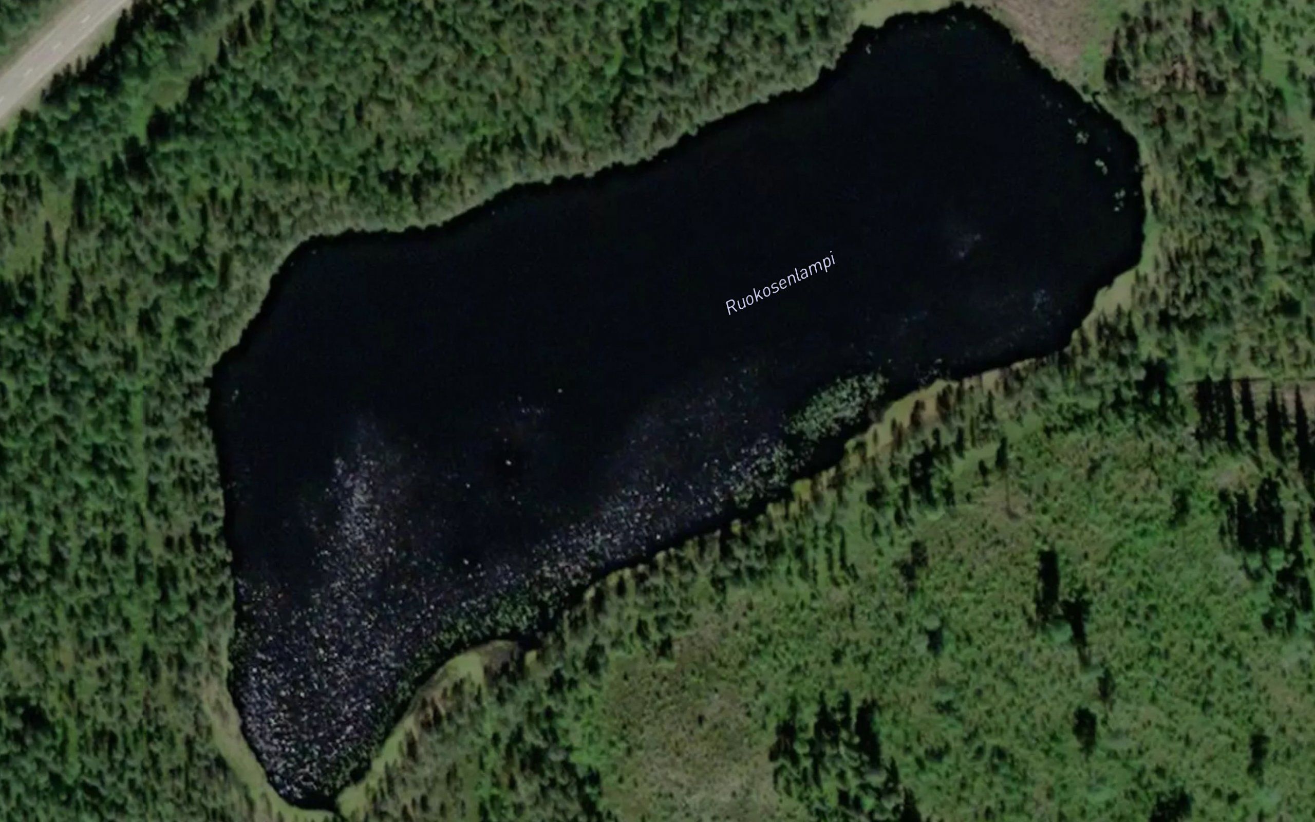 Ruokosenlampi