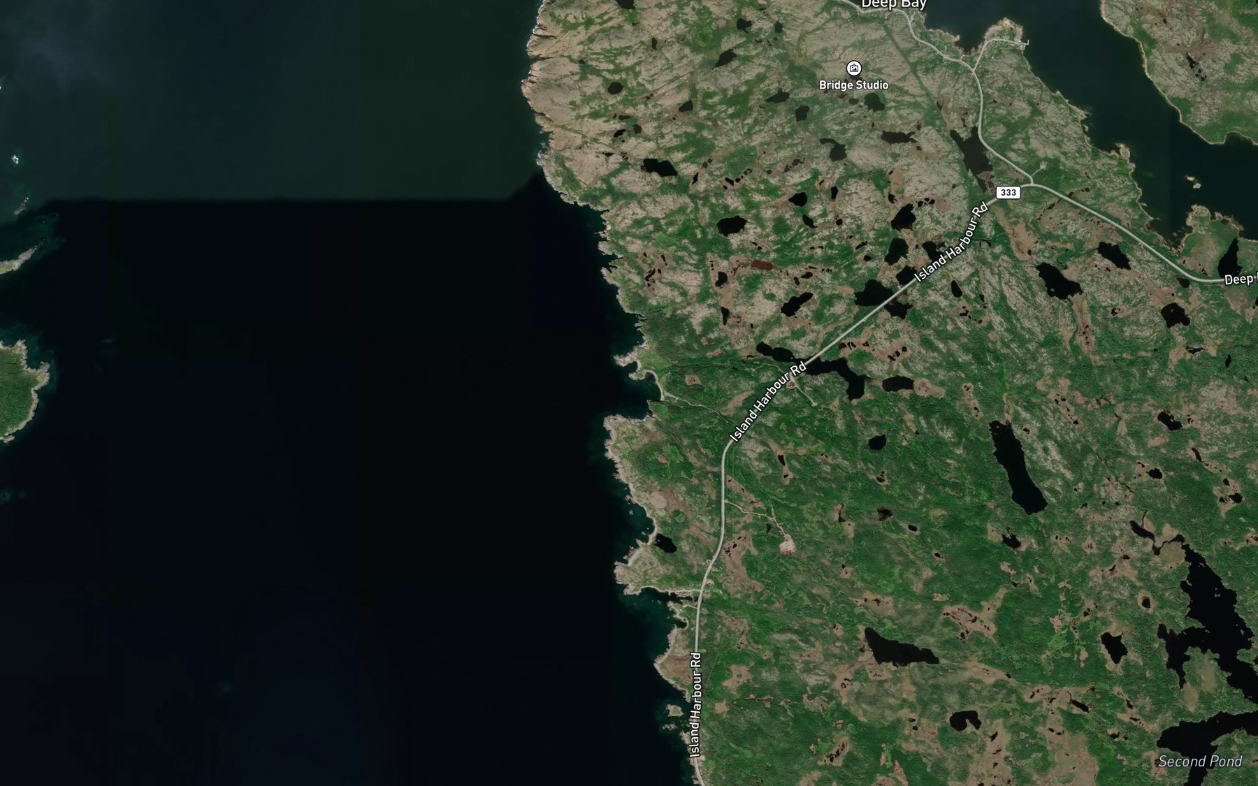 Satellite map of the Black Head Cove