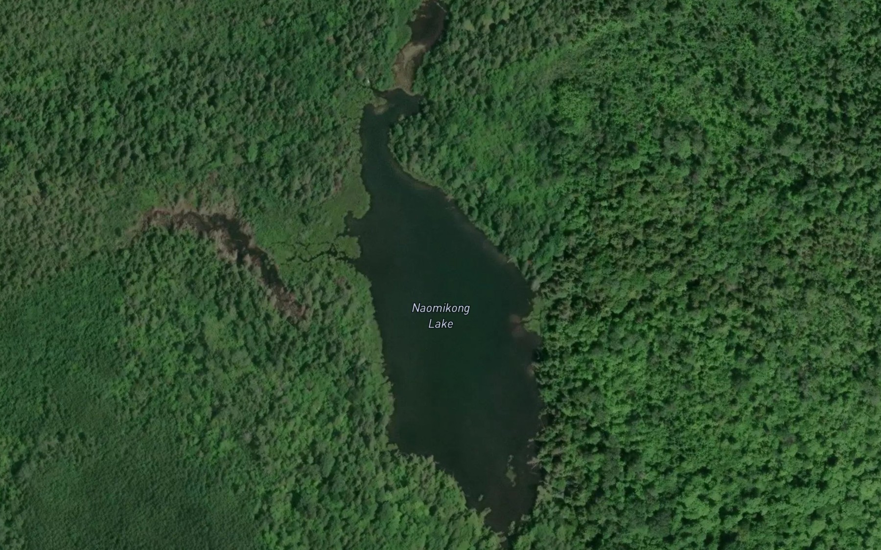 Satellite map of the Naomikong Lake
