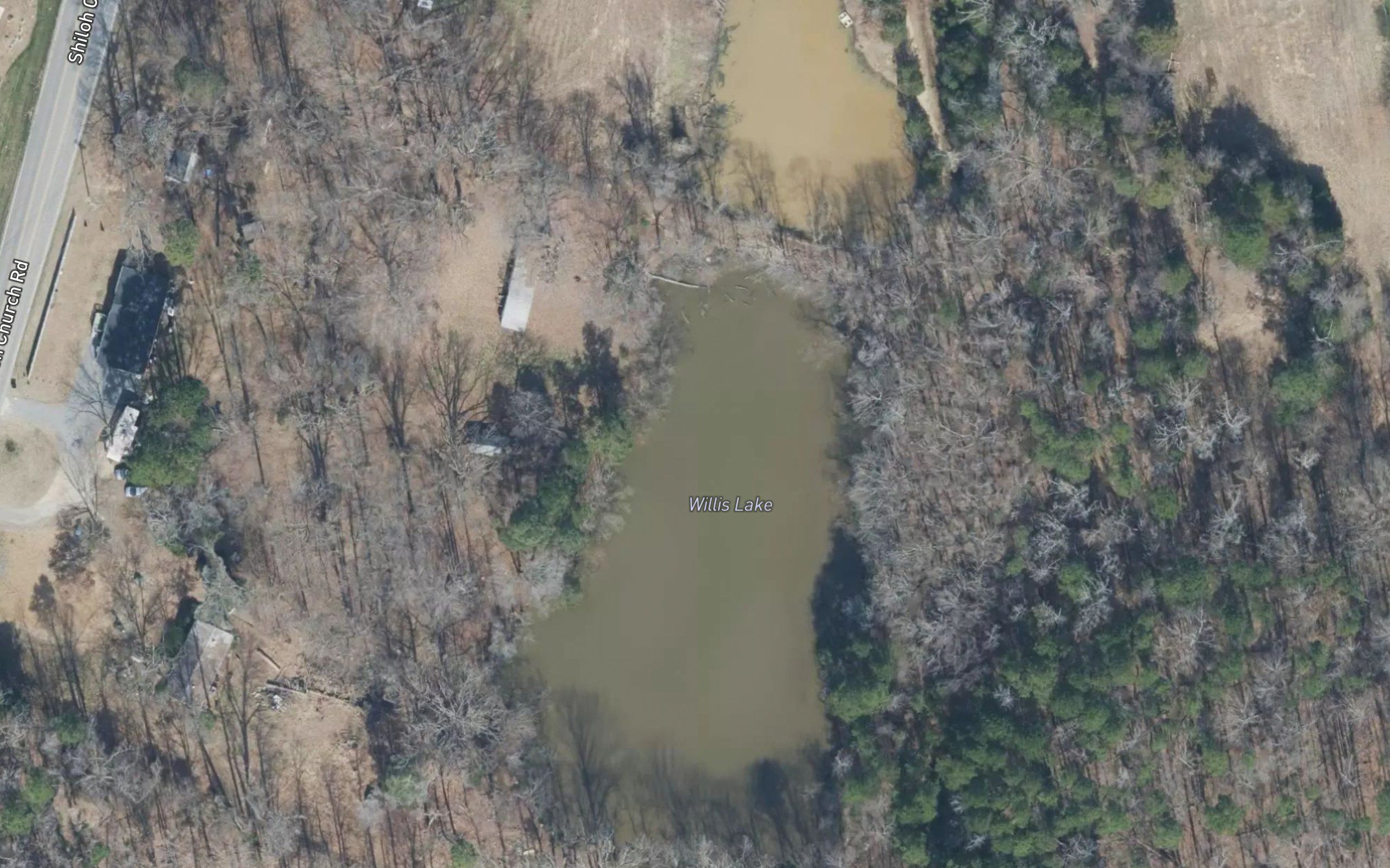 Willis Lake