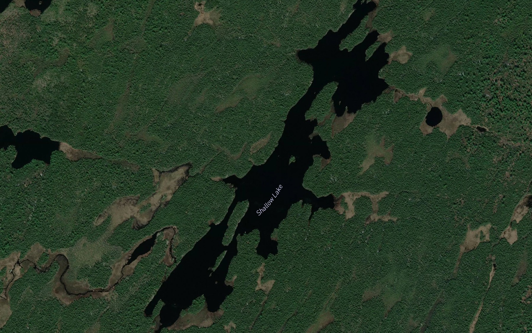 Satellite map of the Shallow Lake