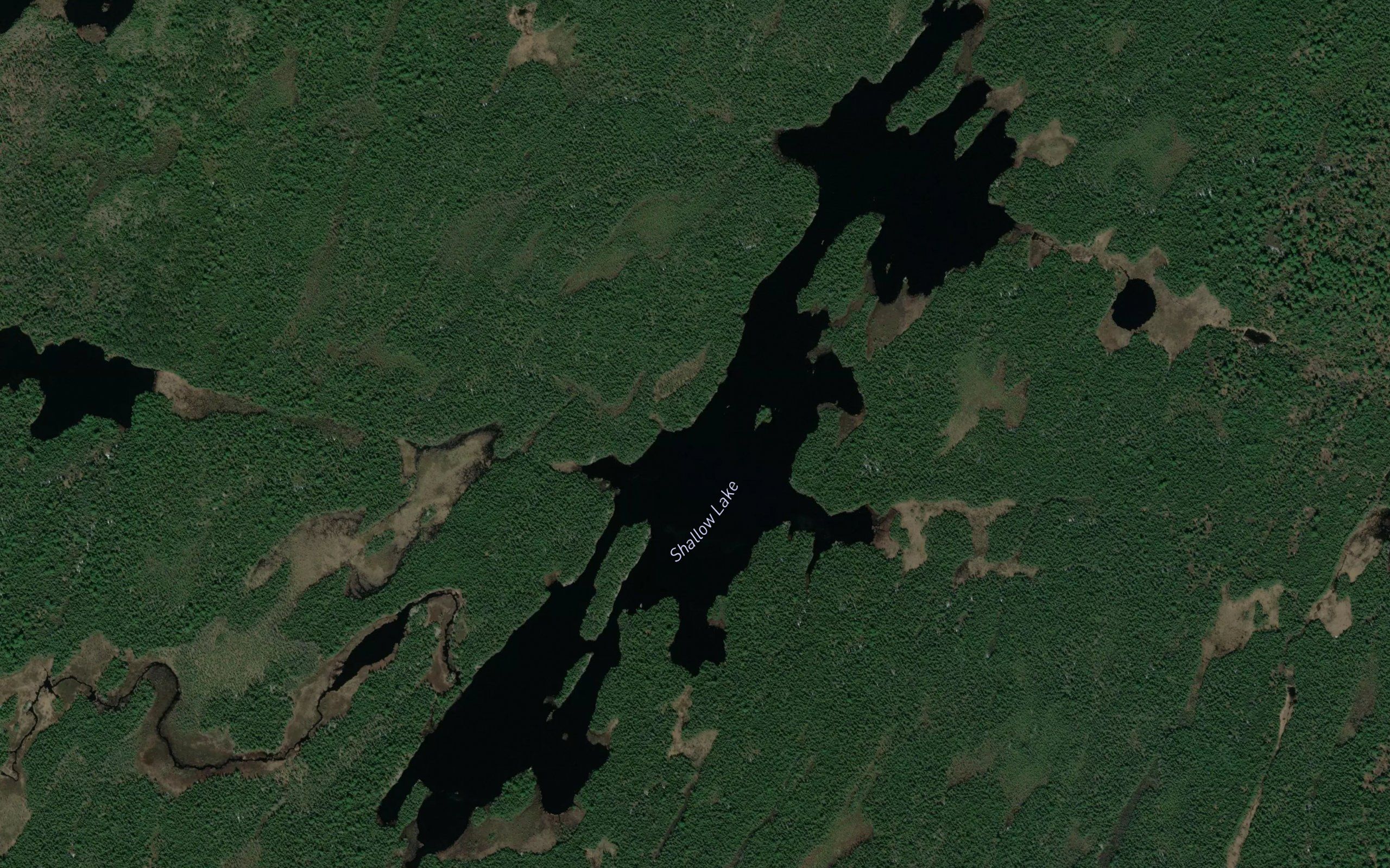 Shallow Lake
