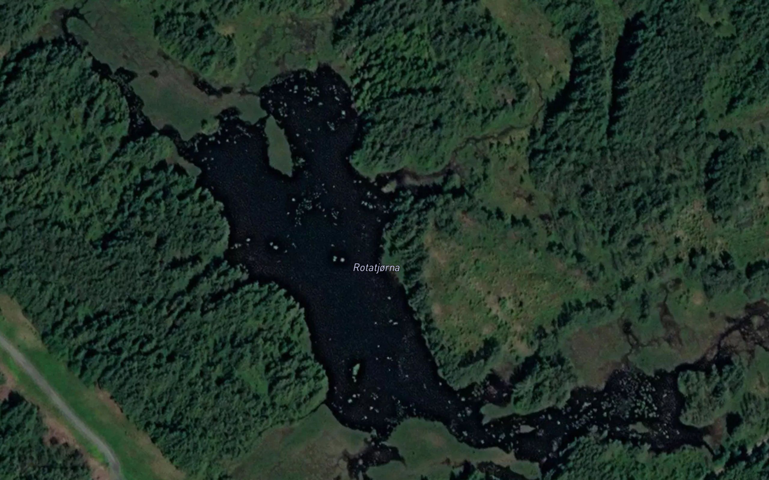 Rotatjorna