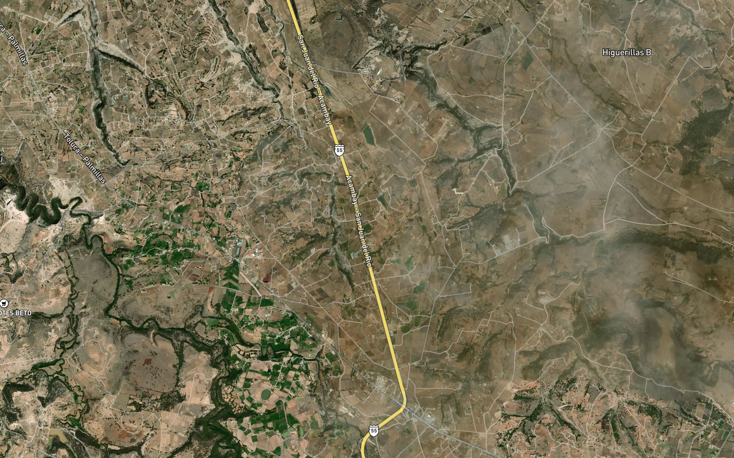 Palo Bendito