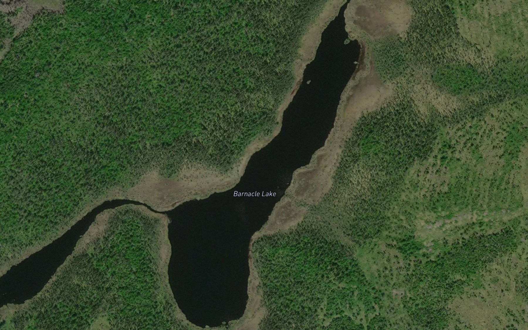 Satellite map of the Barnacle Lake