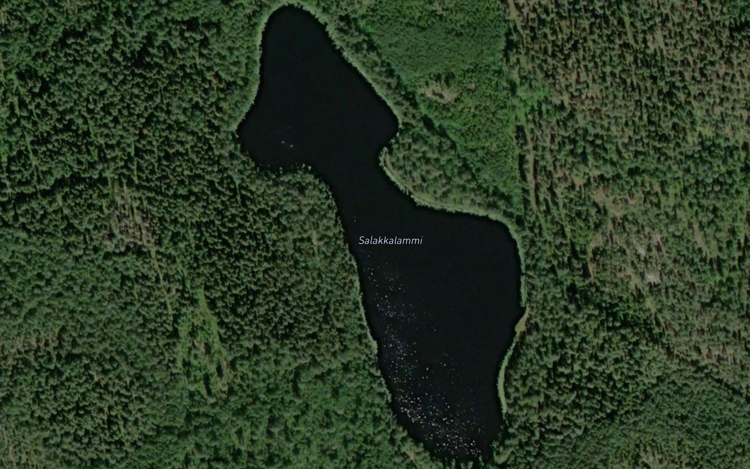 Salakkalammi