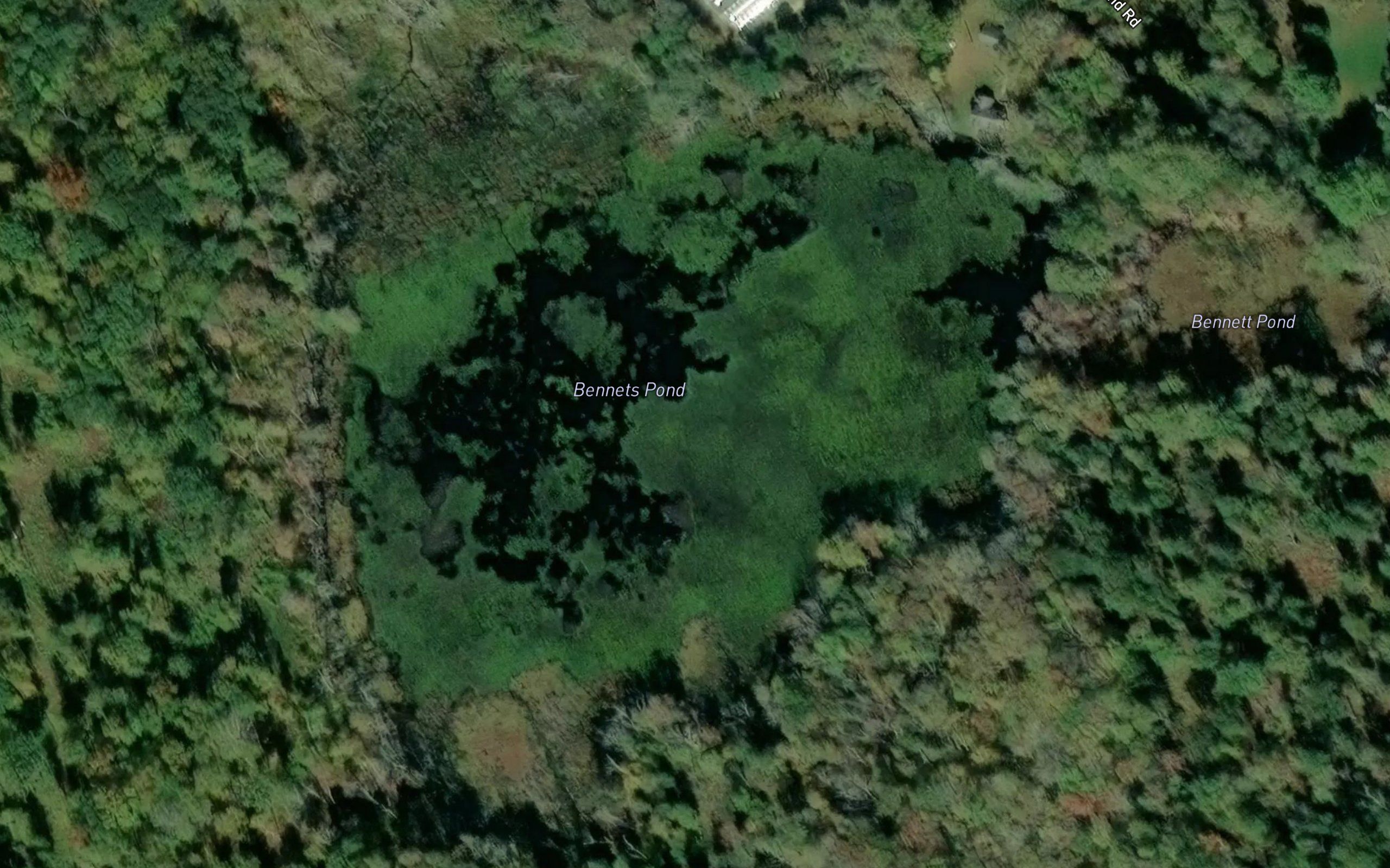 Bennett Pond