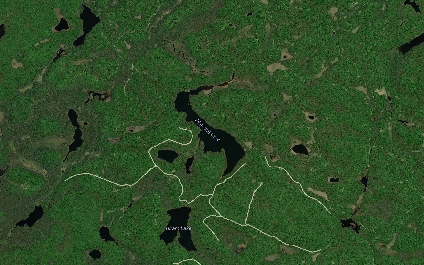 Satellite map of the Whitegull Lake