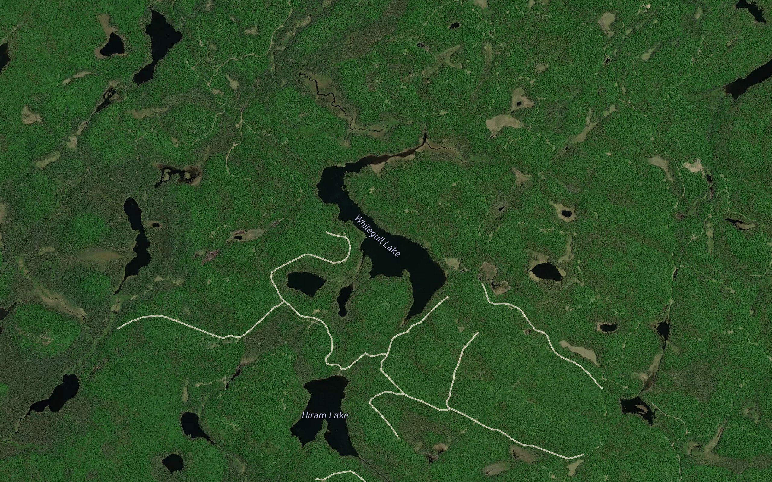 Whitegull Lake