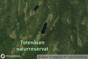 Lekketjernet