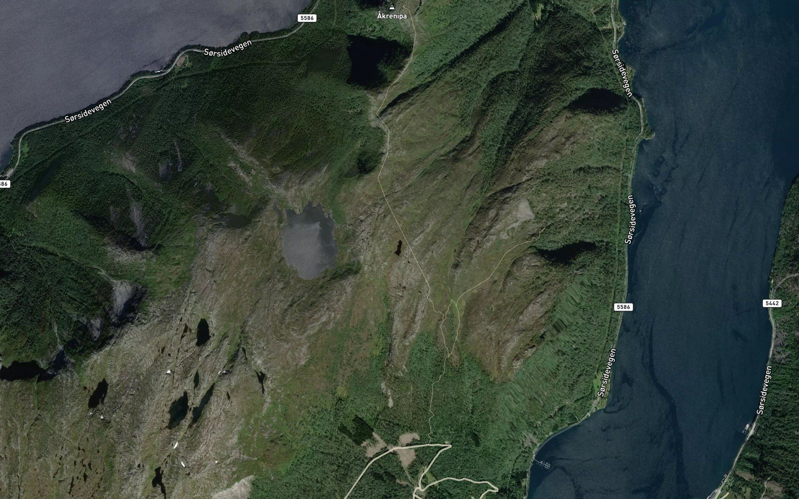 Lomtjorna