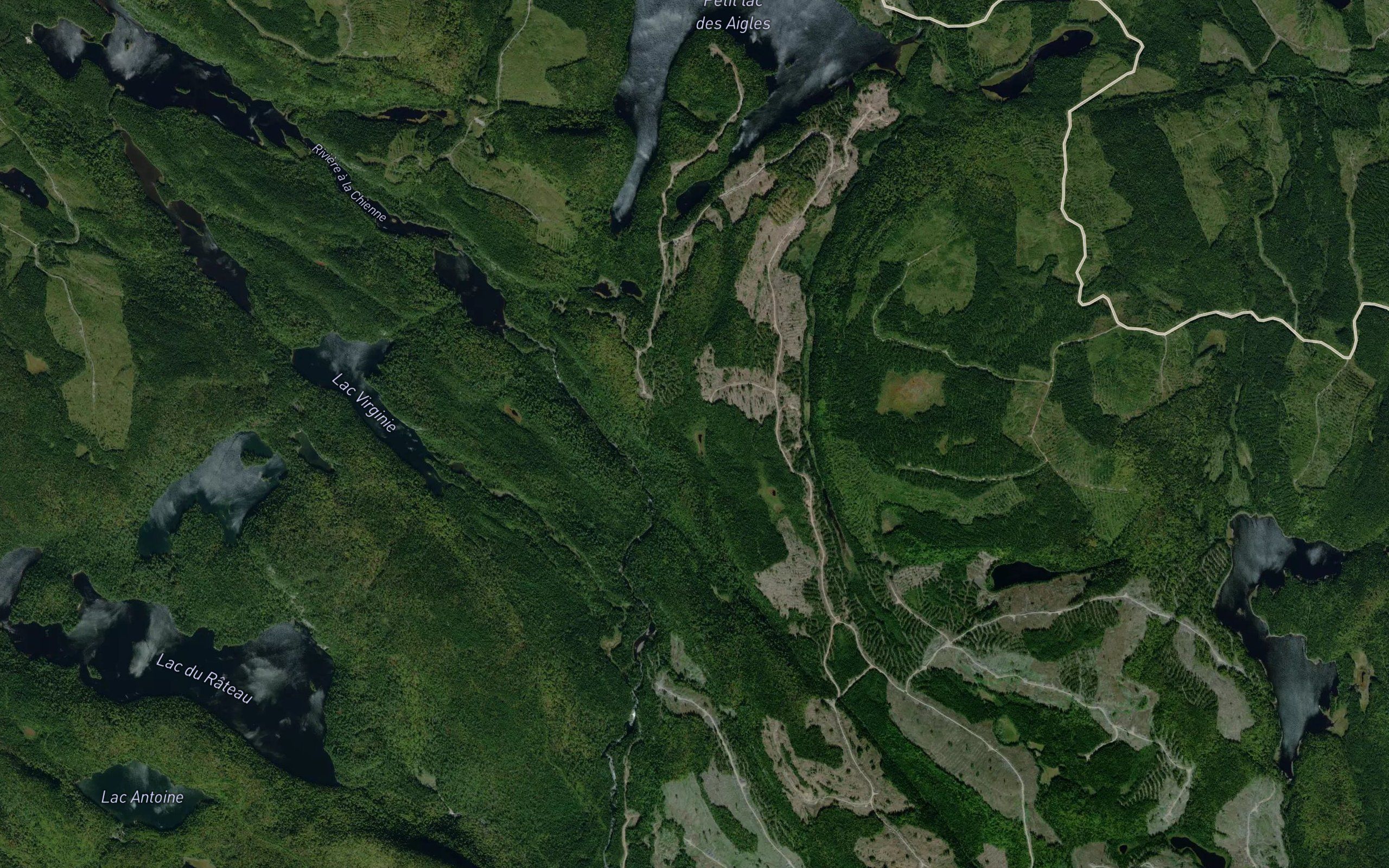 Etang de la Carpe