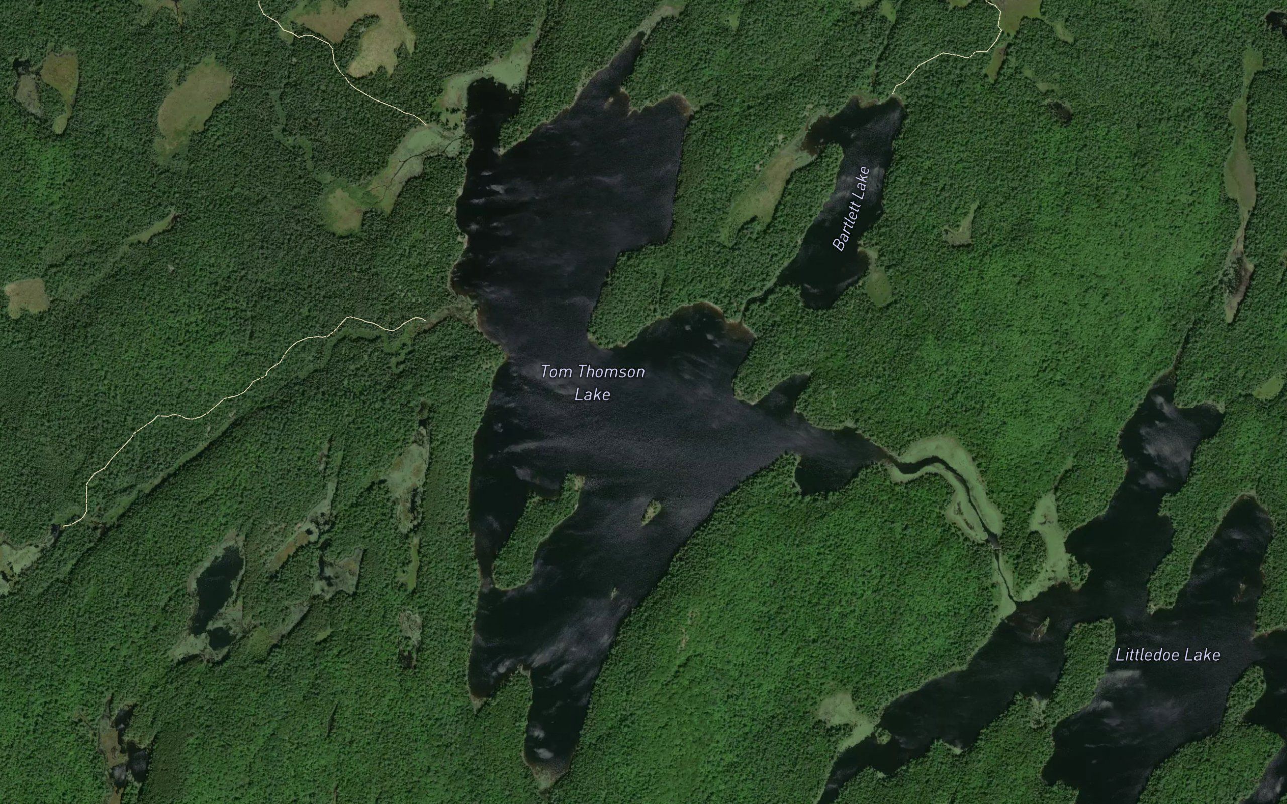 Tom Thomson Lake