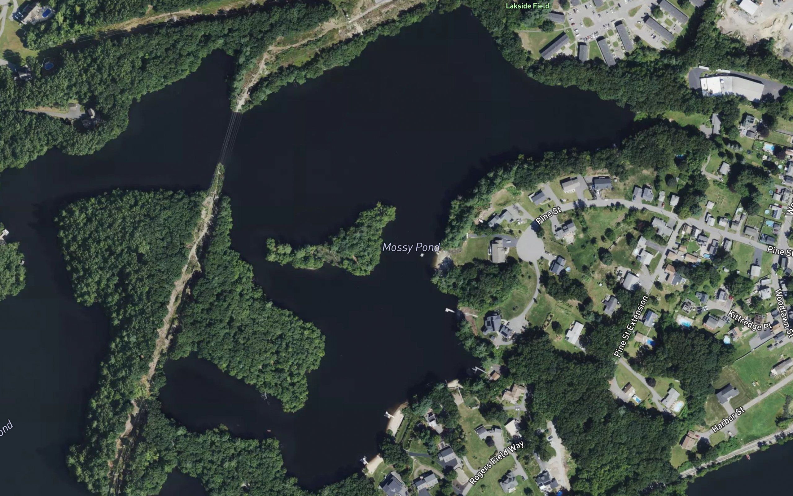 Mossy Pond